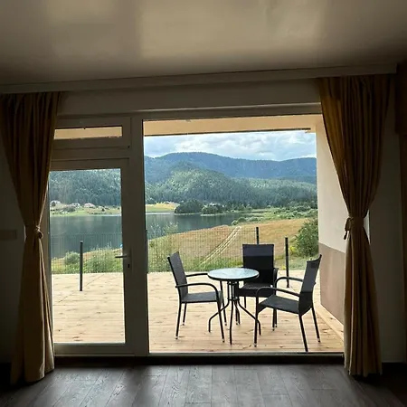 Complex Forest Motel