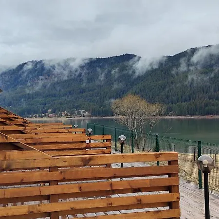 Complex Forest Motel