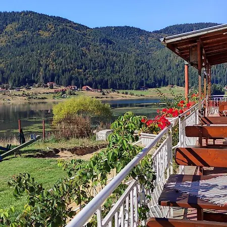 Motel Complex Forest Sarnitsa