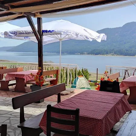 Complex Forest Motel