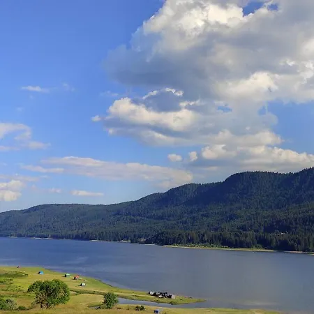 Motel Complex Forest 2*