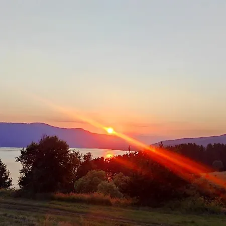 Complex Forest Motel