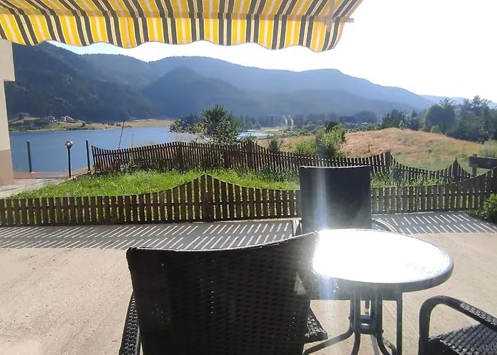 Complex Forest Szarnica