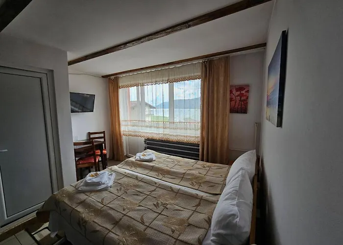 Complex Forest Szarnica