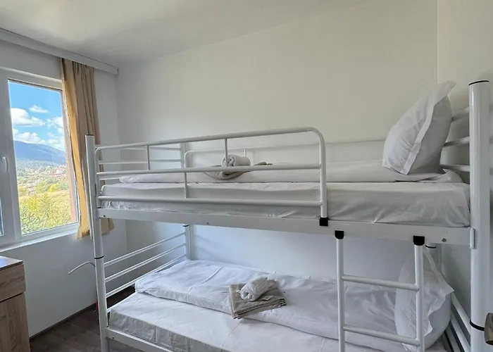 Complex Forest 2* Szarnica