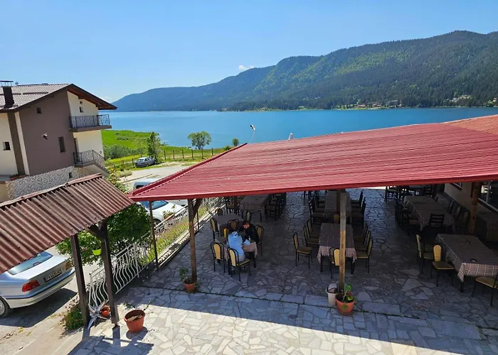 Complex Forest Motel Szarnica