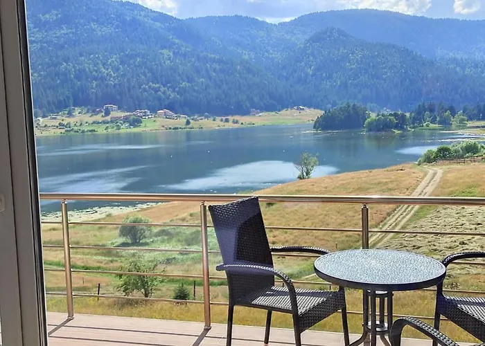 Complex Forest Szarnica