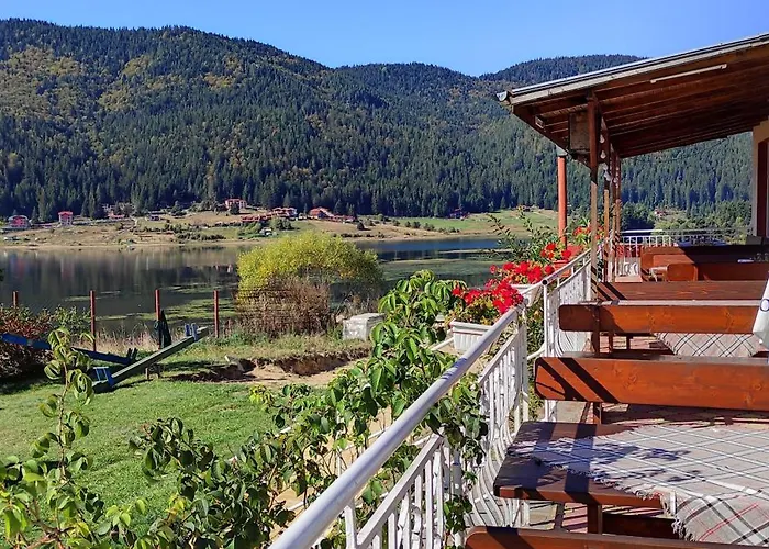 Motel Complex Forest Szarnica