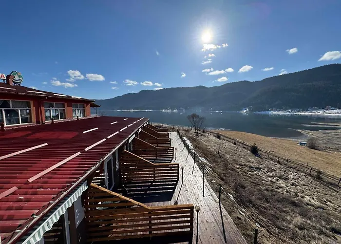 Complex Forest Szarnica