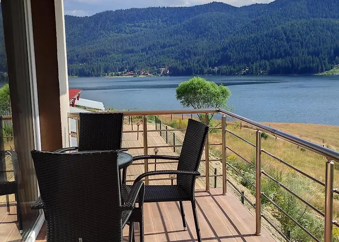 Complex Forest Motel Szarnica