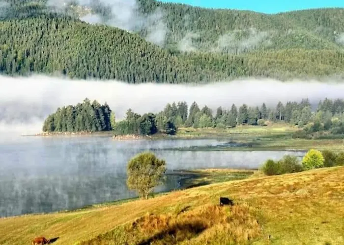 Motel Complex Forest 2*