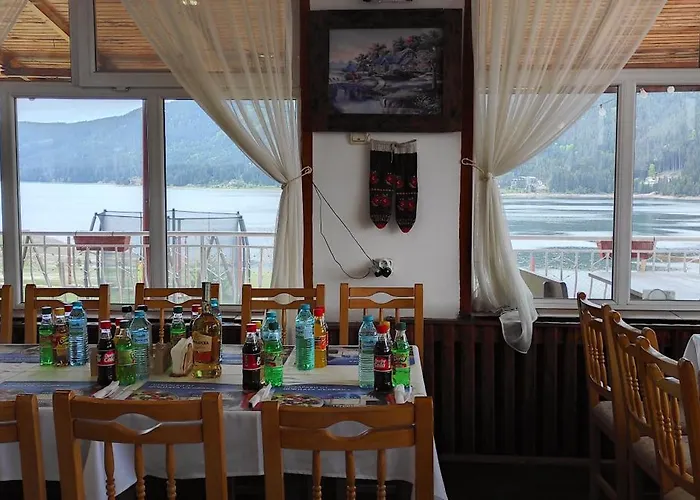 Complex Forest Motel Szarnica