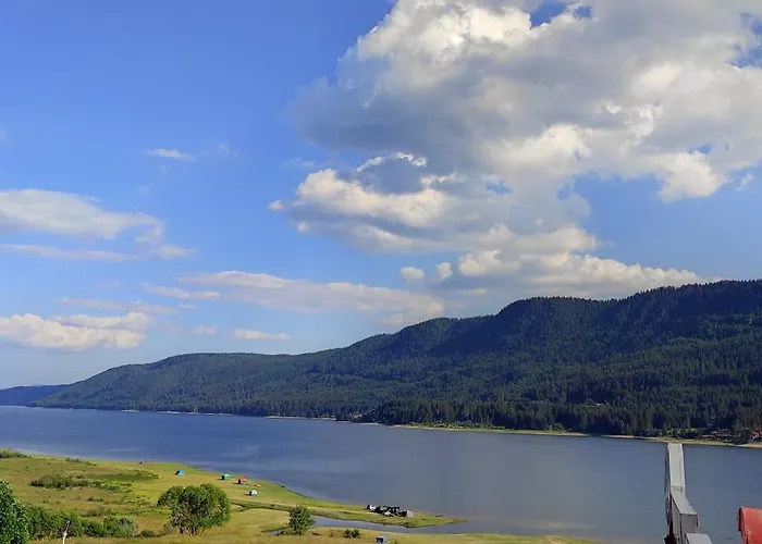 Motel Complex Forest 2*