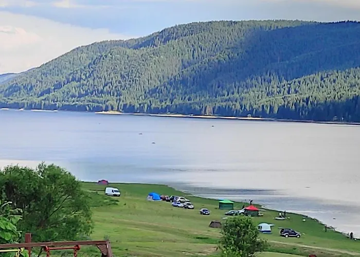 Complex Forest Szarnica